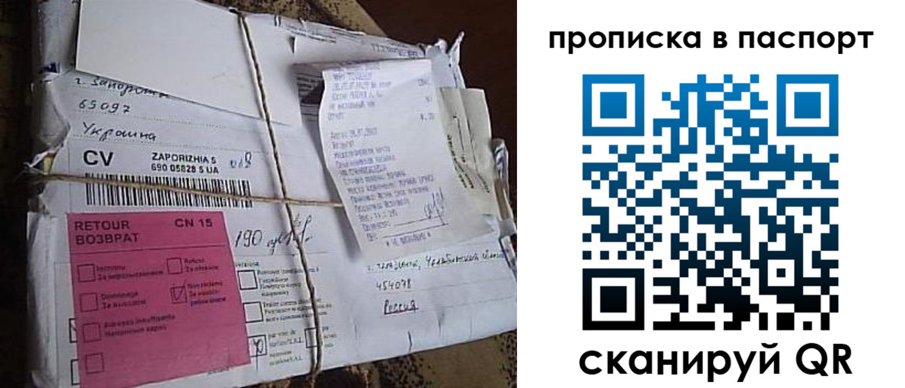 прописка в Ельне